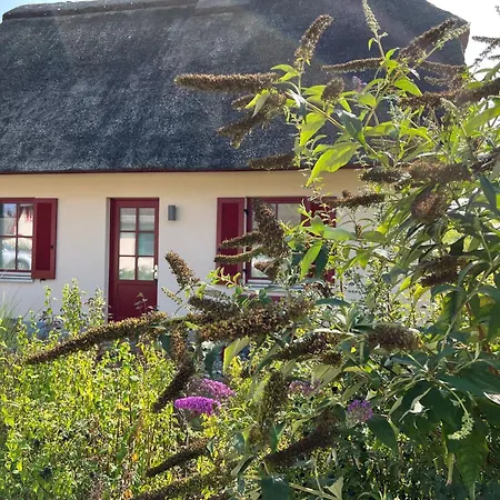 Reethaus Lütt Seeadler Ferienhaus *